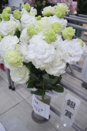 トルコギキョウの生産地だより] JAグループくまもと 花き部会