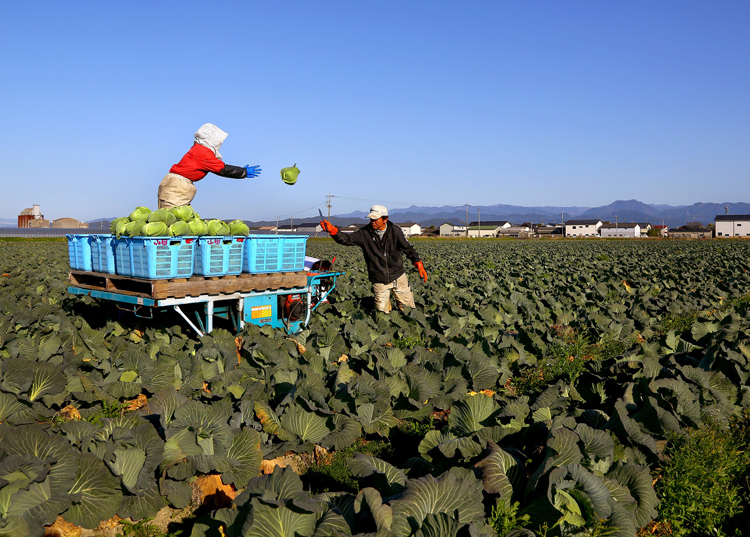 http://www.jakk.or.jp/news/mt-images/2016.5.06-2.jpg